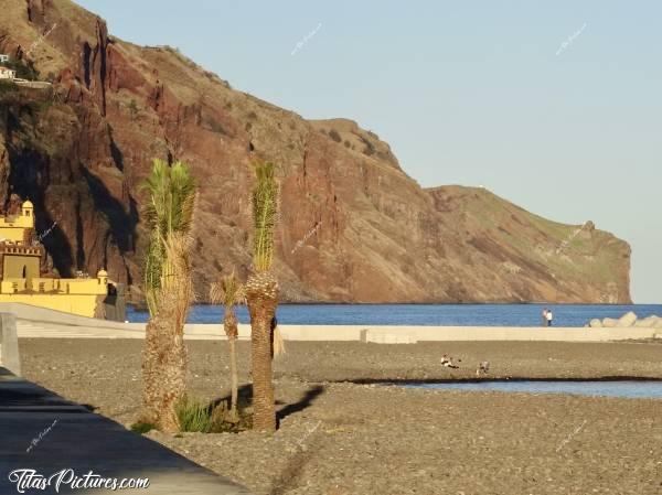 Photo Fortaleza de São Tiago : Vue sur la grande plage de Funchal, avec ses magnifiques falaises, et le jaune vif de la Fortaleza de São Tiago 😍 Pauvres palmiers par contre, ils ont vraiment mauvaise mine 😧😅c, Fortaleza de São Tiago, Funchal, Madère