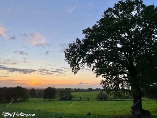 Photo Coucher de Soleil : Joli Coucher de Soleil dans la Campagne du Boupère 👍🏻😍🥰c, Coucher de Soleil, Campagne, le Boupère