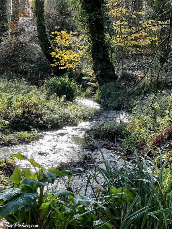 Photo Le Bois de Keroual : Après la pluie, belle randonnée matinale dans le Bois de Keroual, à Guilers.c, Bois de Keroual, Guilers, Ruisseau