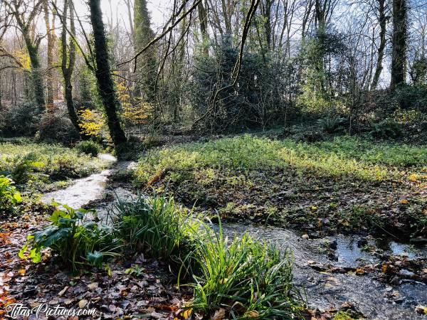 Photo Le Bois de Keroual : Après la pluie, belle randonnée matinale dans le Bois de Keroual, à Guilers.c, Bois de Keroual, Guilers, Ruisseau