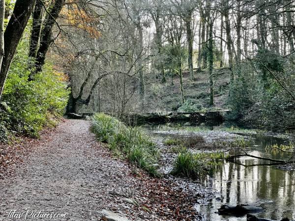 Photo Le Bois de Keroual : C’est vraiment très agréable de faire une randonnée dans le Bois de Keroual. En plus de voir pleins de variétés d’arbres, on peut y découvrir plusieurs zones humides, dont ce bel endroit sauvage 🤗😍c, Bois de Keroual, Guilers, rivière