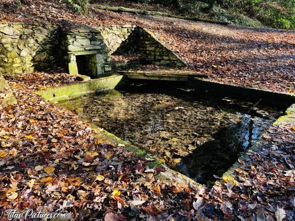 Photo Le Bois de Keroual : Et au milieu des feuilles mortes, une petite fontaine, qui je pense, devait servir de lavoir autrefois ...c, Bois de Keroual, Guilers, Fontaine, Lavoir
