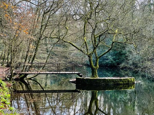 Photo Le Bois de Keroual : Très original ce petit pont métallique, permettant de rejoindre ce petit îlot. Quel âge peut-il avoir ? Peut-être celui du Château..? 🤔😅c, Bois de Keroual, Îlot, Pont métallique, Fer forgé