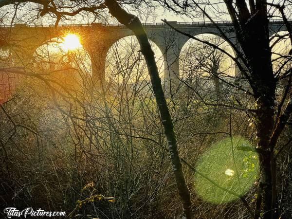 Photo Le Viaduc de Barbin : Belle randonnée de fin de journée bien fraîche, en direction du Viaduc de Barbin, à Saint-Laurent-sur-Sèvre 😍😎c, le Parc de la Barbinière, le viaduc de Barbin