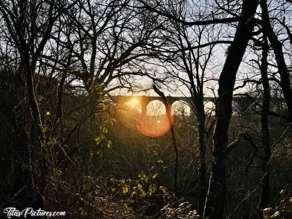 Photo Le Viaduc de Barbin : Belle randonnée de fin de journée bien fraîche, en direction du Viaduc de Barbin, à Saint-Laurent-sur-Sèvre 😍😎c, le Parc de la Barbinière, le viaduc de Barbin