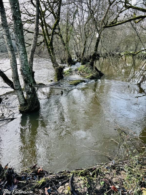 Photo La Sèvre Nantaise : Ouff 😅 Mi-janvier, la Sèvre Nantaise a retrouvé un bon niveau 🥳 Voir même un peu trop 🤭 Car là, il est sensé y avoir un passage au milieu de l’eau 😅c, La Sèvre Nantaise, le Parc de la Barbinière