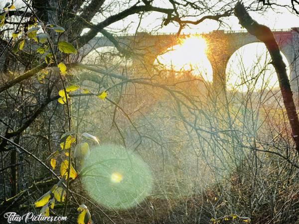 Photo Le Viaduc de Barbin : Belle randonnée de fin de journée bien fraîche, en direction du Viaduc de Barbin, à Saint-Laurent-sur-Sèvre 😍😎c, le Parc de la Barbinière, le viaduc de Barbin