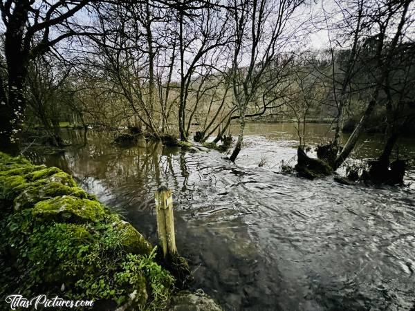 Photo La Sèvre Nantaise : Mi-janvier, la Sèvre Nantaise a retrouvé un bon niveau 🥳 Voir même un peu trop 🤭 Car là, il est sensé y avoir un passage au milieu de l’eau 😅c, La Sèvre Nantaise, le Parc de la Barbinière