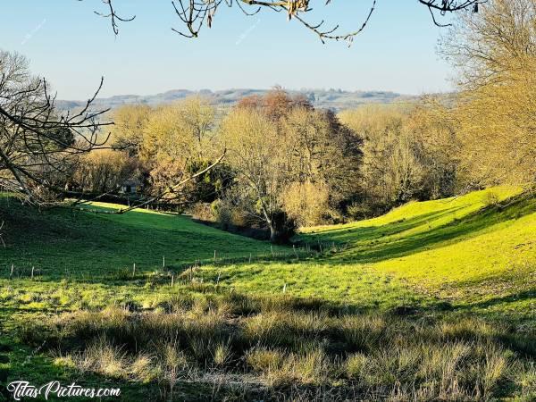 Photo Prairie Bio : Bel exemple de Prairie Bio, dans la campagne du Boupère. La lumière rasante de fin de journée lui donne de belles couleurs je trouve 😍😎c, Prairie Bio, Campagne du Boupère, Chemin de randonnée