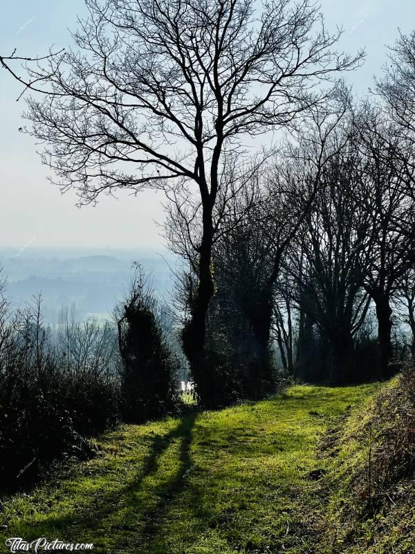 Photo L’Epaud : Belle randonnée ensoleillée dans la campagne de L’Epaud, en cette fin d’hiver 😎c, L’Epaud, chemin de randonnée, campagne