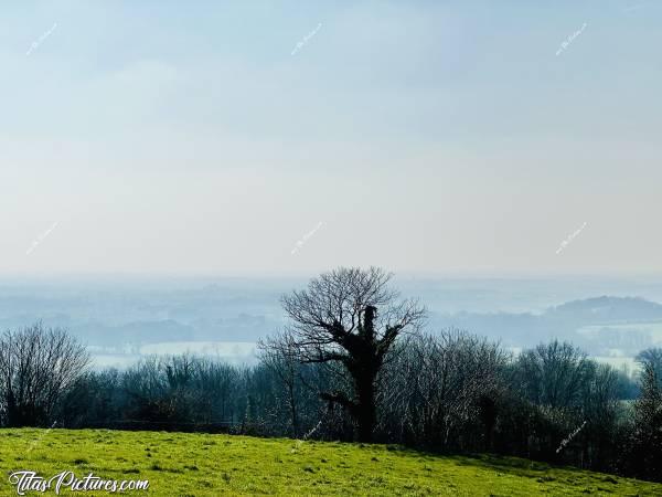 Photo L’Epaud : L’horizon de la Vendée, vu des hauteurs de L’Epaud. A cette hauteur y’a du soleil, mais plus bas, il y a une légère brume 😅c, L’Epaud, chemin de randonnée, campagne