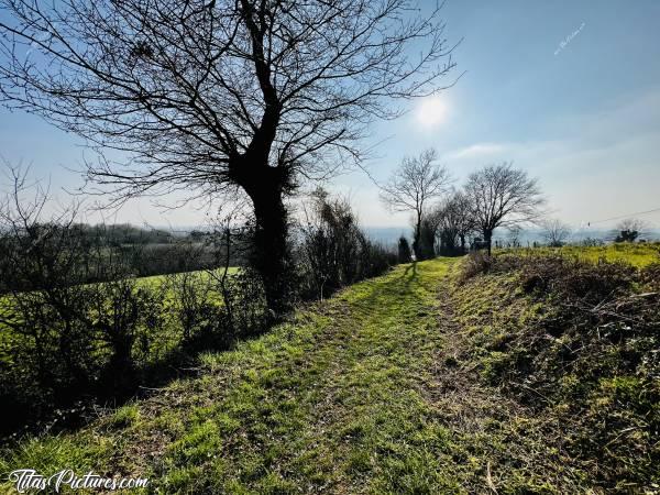 Photo L’Epaud : Belle randonnée ensoleillée dans la campagne de L’Epaud, en cette fin d’hiver 😎c, L’Epaud, chemin de randonnée, campagne