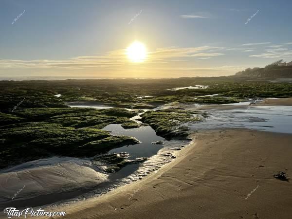 Photo Plage de la Normandelière : Joli Coucher de soleil, à la Plage de la Normandelière, à Bretignolles-sur-Mer. A cet endroit, une Aigrette blanche était en pleine chasse aux poissons 🤗😍c, Plage de la Normandelière, Coucher de soleil