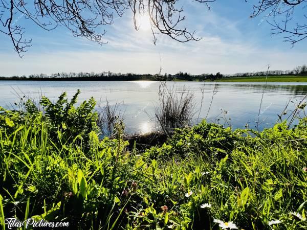 Photo La Retenue de Rochereau : Petite balade en début de Printemps, à la Retenue de Rochereau, à Monsireigne. La végétation au bord du Lac, a bien poussé 😅🤗c, La Retenue de Rochereau, Monsireigne