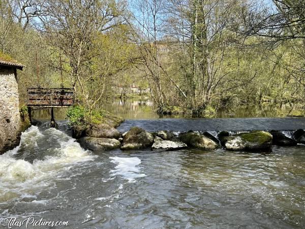 Photo Le Moulin d'Etourneau : L’Ecluse du Moulin d'Etourneau est ouverte en début de Printemps. Mais le niveau de la Sèvre Nantaise n’est pas bien haut. Les rochers devraient être recouverts à cette période 😬😥c, Le Moulin d'Etourneau, Parc de la Barbinière, Saint-Laurent-sur-Sèvre