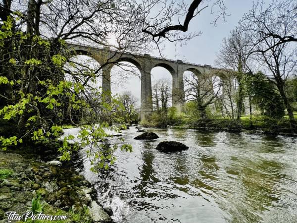 Photo Le Viaduc de Barbin : Le Viaduc de Barbin, en début de Printemps. Les feuilles du Marronnier commencent à sortir 🤗😍c, Le Viaduc de Barbin, St Laurent sur Sèvre