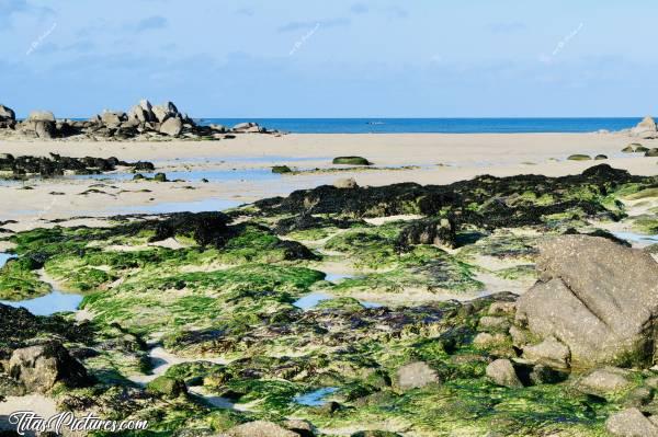 Photo La Baie du Kernic : Mais d’où viennent toutes ces algues vertes ?! 😟 Y’en avait pas la dernière fois que j’y suis allée 😣😥
Par contre, ça fait bien ressortir le blanc du sable fin et le noir du goëmon 👍🏻😍c, La Baie du Kernic, Porsguen, Plouescat