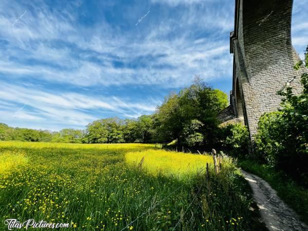 Photo Le Viaduc de Barbin : Belle prairie en fleurs, au pied du Viaduc de Barbin 🤗😍 Le jaune des fleurs, contraste à merveille avec le bleu du ciel 😍😎
Mode “Grand Format”, pris du même endroit que la photo précédente. Pas mal comme rendu 👍🏻😍🥰 Laquelle préférez-vous? 🤔c, Viaduc de Barbin, le Parc de la Barbinière, Saint-Laurent-sur-Sèvre