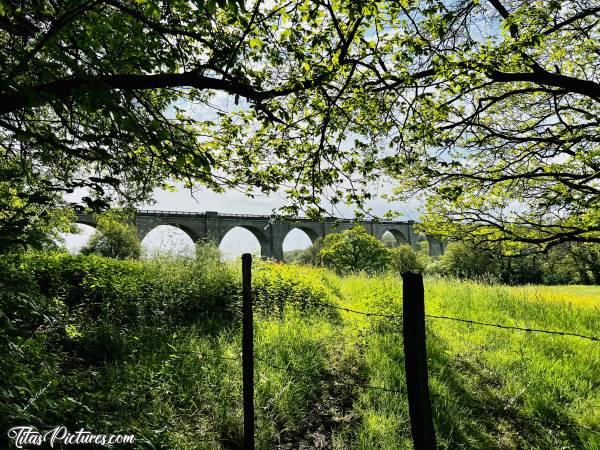 Photo Viaduc de Barbin : Mon endroit préféré pour aller me ressourcer en Vendée 😍🥰c, Viaduc de Barbin, le Parc de la Barbinière, Saint-Laurent-sur-Sèvre