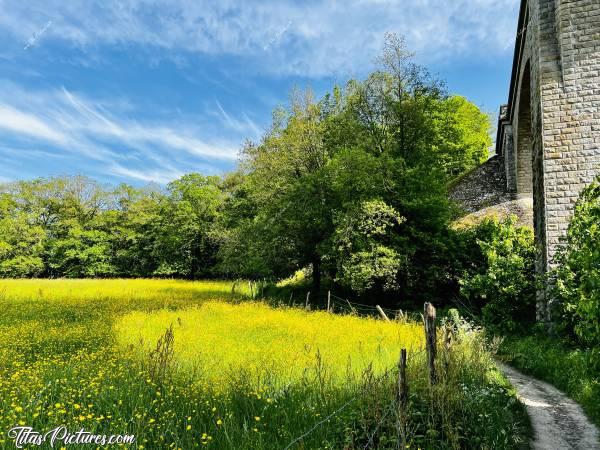 Photo Le Viaduc de Barbin : Belle prairie fleurie, au pied du Viaduc de Barbin. Le jaune des fleurs contraste très bien avec ce beau ciel bleu 😍🥰c, Viaduc de Barbin, le Parc de la Barbinière, Saint-Laurent-sur-Sèvre
