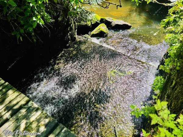 Photo Le Moulin d'Etourneau : Jeu d’Ombres et de Lumières, sur l’eau qui s’échappe de l’écluse du Moulin d’Etourneau, au Parc de la Barbinière. La végétation a bien poussé à cet endroit, qui est désormais ombragé, en ce mois de Mai.c, Le Moulin d'Etourneau, Le Parc de la Barbinière, Saint-Laurent-sur-Sèvre