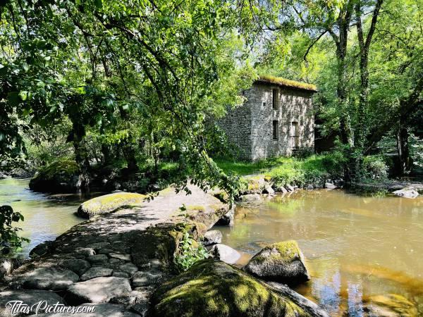Photo Le Moulin d'Etourneau : Joli petit passage en pierres sur la Sèvre Nantaise, afin de rejoindre le Moulin d'Etourneau 👍🏻😍c, Le Moulin d'Etourneau, Le Parc de la Barbinière, Saint-Laurent-sur-Sèvre