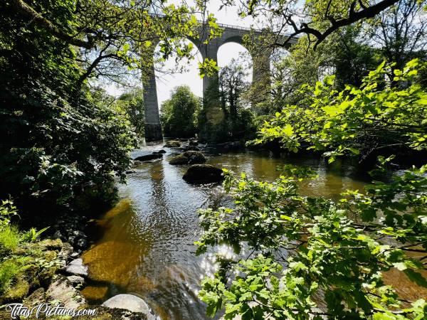 Photo Le Viaduc de Barbin : Les feuilles sont enfin sorties 🤗😍
Ça change tout le paysage. Le Viaduc est désormais à peine visible de ce point de vue 😅c, Viaduc de Barbin, le Parc de la Barbinière, Saint-Laurent-sur-Sèvre