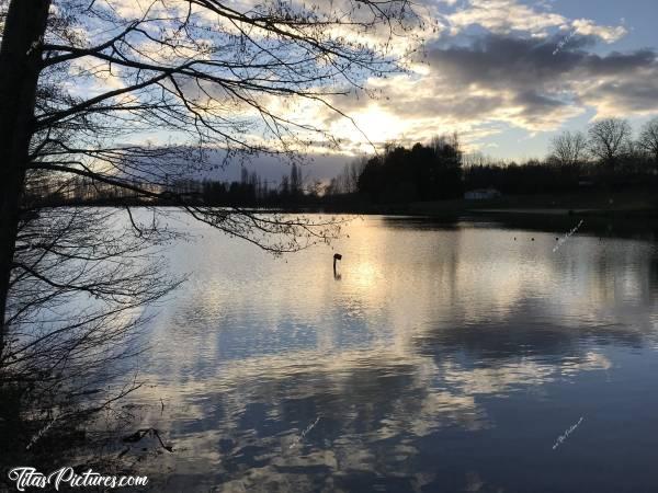 Photo Lac de l’Espérance : Joli jeu d’Ombres Chinoises, en fin de journée, sur le Lac de l’Espérance à Pouzauges 😍🥰c, Lac de l’Espérance, Pouzauges, Coucher de Soleil