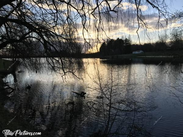 Photo Lac de l’Espérance : Joli jeu d’Ombres Chinoises, en fin de journée, sur le Lac de l’Espérance à Pouzauges 😍🥰c, Lac de l’Espérance, Pouzauges, Coucher de Soleil