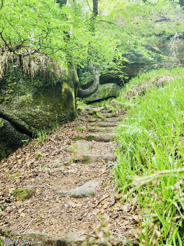 Photo La Grotte d’Arthus : Bel escalier fait de grosses pierres, menant à la Grotte d’Arthus, dans la Forêt d’Huelgoat.c, La Grotte d’Arthus, La Forêt d’Huelgoat