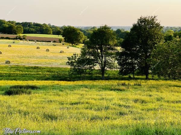 Photo Campagne Vendéenne : Beau Paysage d’été dans la Campagne vendéenne, avec des bottes de foins dans les champs 👍🏻😍c, Campagne Vendéenne, Champs, Prairie