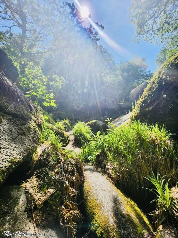 Photo La Grotte d’Arthus : Cette grotte est située dans la Forêt d’Huelgoat. Elle aurait hébergé le roi des chevaliers de la Table Ronde, Arthur.c, La Grotte d’Arthus, La Forêt d’Huelgoat