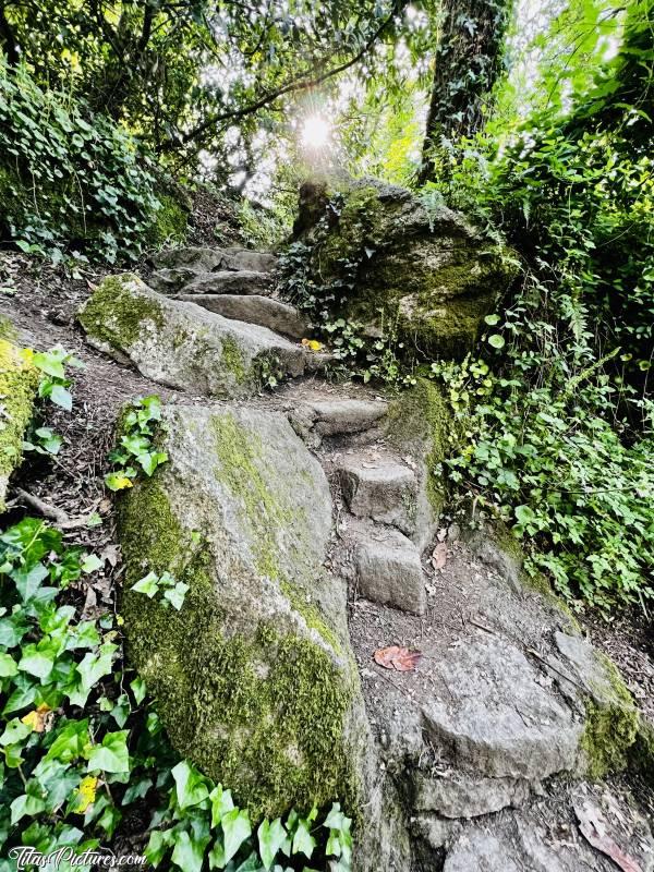 Photo Parc de la Barbinière : Autre petit passage que j’adore, au Parc de la Barbinière 👍🏻😍🥰c, Parc de la Barbinière, St-Laurent-sur-Sèvre