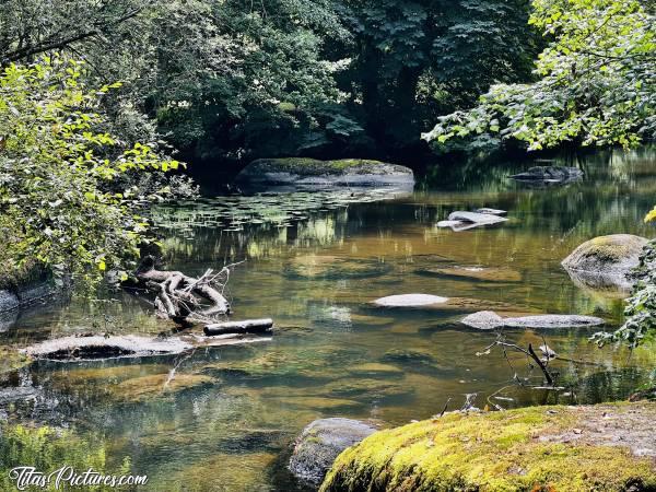 Photo Parc de la Barbinière : Le niveau de la Sèvre Nantaise est vraiment très très bas pour une fin de Juillet 😱😥 Qu’est-ce que ça va être en août 😰c, Parc de la Barbinière, Sèvre Nantaise, Rochers