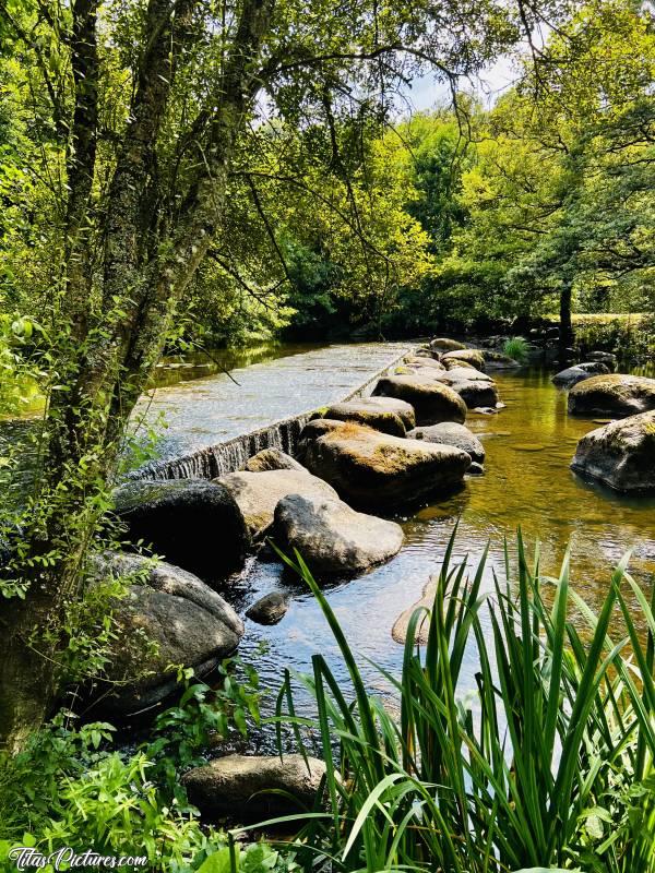 Photo Parc de la Barbinière : Le niveau de la Sèvre Nantaise est vraiment très très bas pour une fin de Juillet 😱😥 Qu’est-ce que ça va être en août 😰
Par contre, ça fait une belle photo je trouve 😍🥰 Pas vous ?c, Parc de la Barbinière, Sèvre Nantaise, Rochers