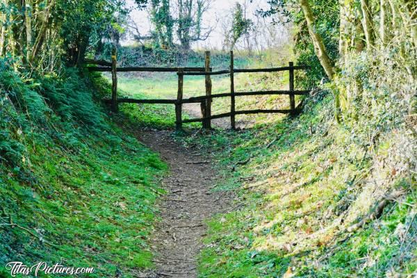 Photo Barrière en Bois 🪵 : Une belle barrière en bois, sur ce chemin de randonnée 😍 Elle permet d’empêcher le passage d’engins motorisés, dans cette belle campagne du Bocage vendéen.c, Barrière en Bois