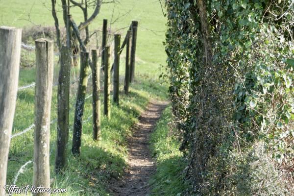 Photo Le Bocage Vendéen : Trop mignon ce petit chemin de randonnée, le long de la clôture de barbelé 👍🏻😍c, Bocage vendéen, chemin de randonnée