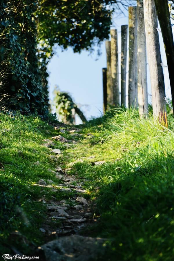 Photo Le Bocage Vendéen : Oulala !! 😧 Je suis où la, en Montagne ou quoi ?! Ça grimpe dur dis-donc 😅c, Bocage vendéen, chemin de randonnée