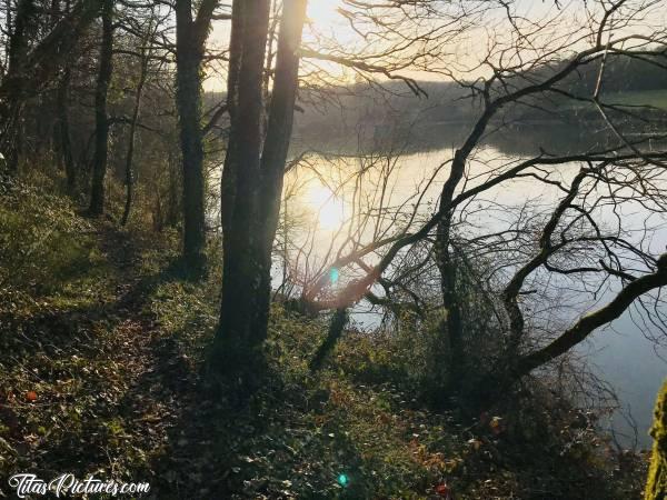 Photo Retenue de Rochereau : Retenue de Rochereau à Monsireigne.c, Retenue de Rochereau, Arbres, Lac, Coucher de soleil