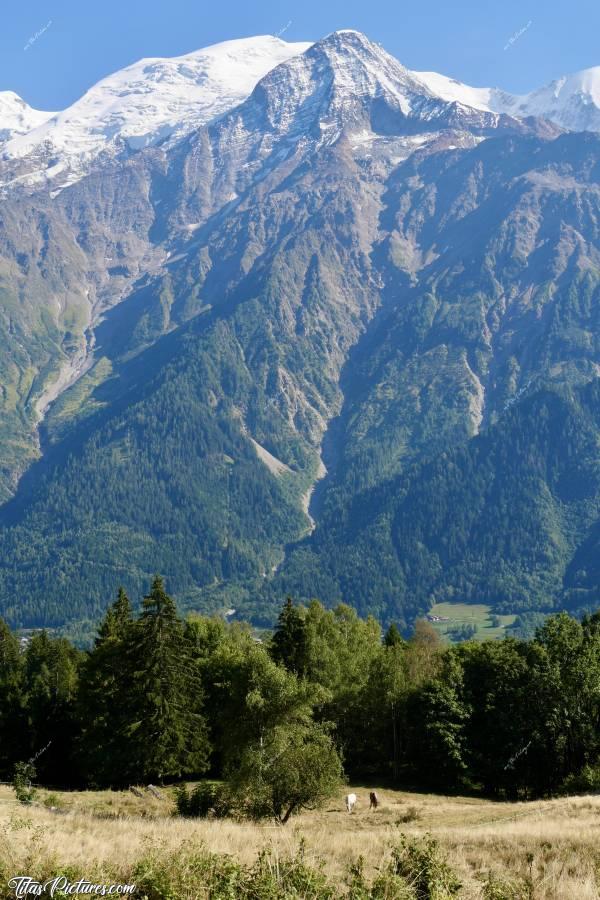 Photo Vallée de Chamonix : Quelle belle randonnée j’ai fait en ce début septembre, avec Teresa Kaufman, une guide de Chamonix 👍🏻😍c, Vallée de Chamonix, les Alpes