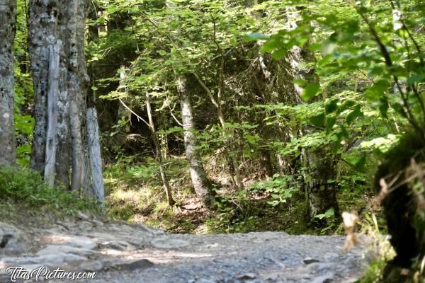 Photo Vallée de Chamonix : Quelle belle randonnée j’ai fait en ce début septembre, avec Teresa Kaufman, une guide de Chamonix 👍🏻😍c, Vallée de Chamonix, les Alpes
