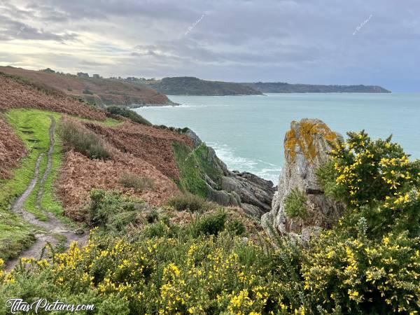 Photo Locquirec : Belle randonnée 🥾 le long de la côte, à Locquirec. Le soleil faisait quelques apparitions par moments et donnait de belles couleurs sur la végétation 👍🏻😍c, Locquirec, chemin de randonnée