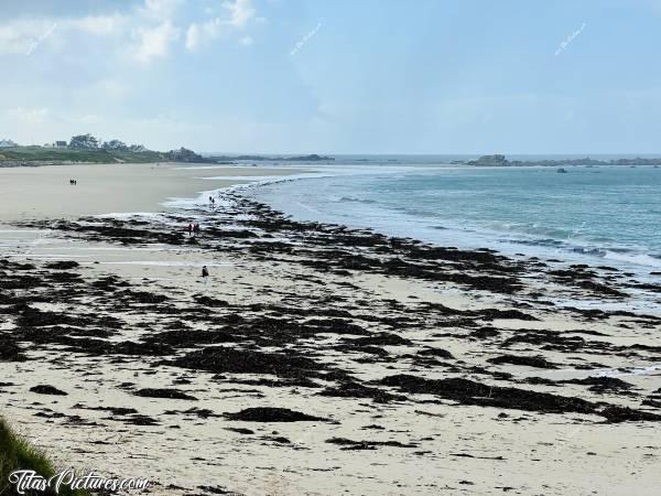 Photo Les Amiets : La grande marée a rejeté plein de Goëmon sur la grande plage des Amiets, à Cléder. J’en ai jamais vu autant 🤭😅c, Tita’s Pictures, Les Amiets, Plage, Cléder, sable blanc