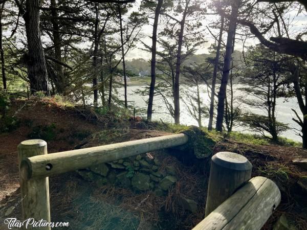 Photo Locquirec : Entrée d’un chemin de randonnée, avec une belle vue ombragée sur la Plage du Moulin de la Rive, à Locquirec 👍🏻😍c, Tita’s Pictures, Plage du Moulin de la Rive, Locquirec, chemin de randonnée