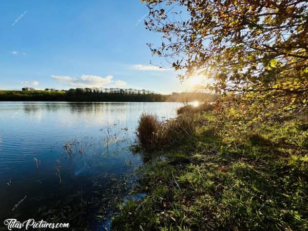 Photo Lac de la Vouraie : Belles couleurs de fin de journée, au Lac de la Vouraie. Toutes les feuilles ne sont pas encore tombées en cette fin Novembre.c, Lac de la Vouraie, Saint-Hilaire-le-Vouhis, Retenue de la Sillonnière, Coucher du Soleil