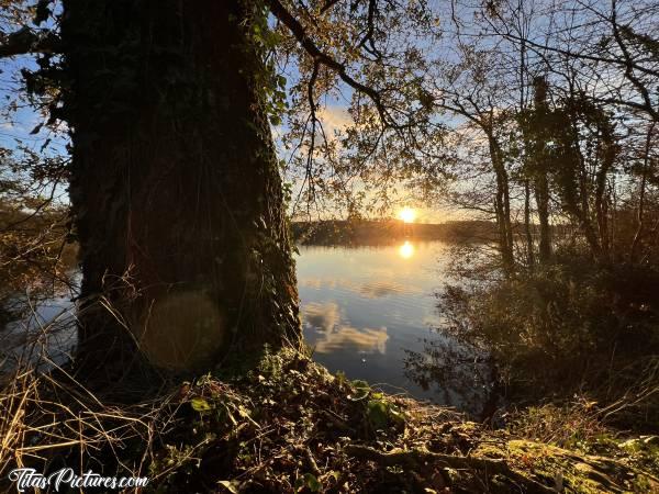 Photo Lac de la Vouraie : Durant ma randonnée au Lac de la Vouraie, j’ai trouvé ce joli spot au pied d’un gros vieux chêne, pour admirer ce beau coucher du Soleil 😍🥰c, Lac de la Vouraie, Saint-Hilaire-le-Vouhis, Retenue de la Sillonnière, Coucher du Soleil