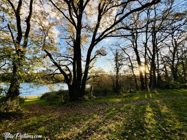 Photo Lac de la Vouraie : Belle randonnée de fin de journée bien fraîche au Lac de la Vouraie. La lumière du Coucher du Soleil était vraiment très belle et donnait de très belles couleurs d’automne sur la végétation 😍🥰c, Lac de la Vouraie, Saint-Hilaire-le-Vouhis, Retenue de la Sillonnière, Coucher du Soleil