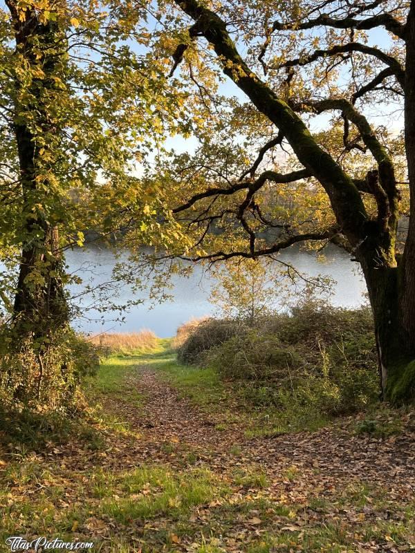 Photo Lac de la Vouraie : Belle randonnée de fin de journée bien fraîche au Lac de la Vouraie. La lumière du Coucher du Soleil était vraiment très belle et donnait de très belles couleurs d’automne sur la végétation 😍🥰c, Lac de la Vouraie, Saint-Hilaire-le-Vouhis, Retenue de la Sillonnière, Coucher du Soleil