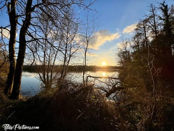 Photo Lac de la Vouraie : Belle randonnée de fin de journée bien fraîche au Lac de la Vouraie. La lumière du Coucher du Soleil était vraiment très belle et donnait de très belles couleurs d’automne sur la végétation 😍🥰c, Lac de la Vouraie, Saint-Hilaire-le-Vouhis, Retenue de la Sillonnière, Coucher du Soleil