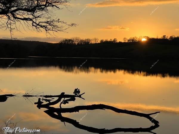 Photo Lac de la Vouraie : Quel beau Coucher du Soleil ce soir-là, au Lac de la Vouraie 👍🏻😍 J’ai déjà pris cet arbre mort en photo il y a quelques temps maintenant.. Mais c’était en Été et il y avait beaucoup moins d’eau 🤭😅c, Lac de la Vouraie, Saint-Hilaire-le-Vouhis, Retenue de la Sillonnière, Coucher du Soleil